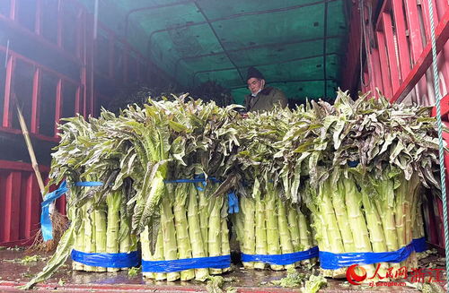 新春走基层 24小时不打烊，守护万家烟火气——走访华东最大农副产品集散地