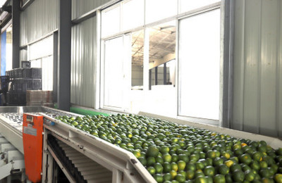 湖北农副产品的疫后突围 从挑战到机遇的振兴之路