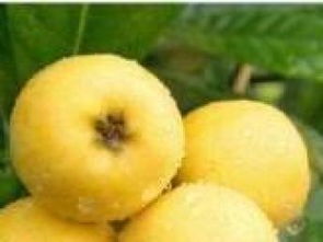 成都农副产品专业配送 构筑城市生活“鲜”通道