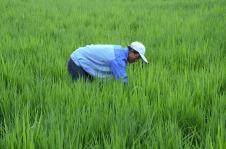 塞上江南，物阜民丰——探秘宁夏特色农副产品产业