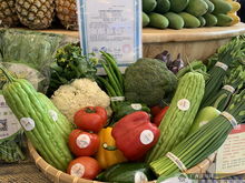 上林扶贫农副产品展销中心在南宁揭牌 架起产销桥梁，助力乡村振兴